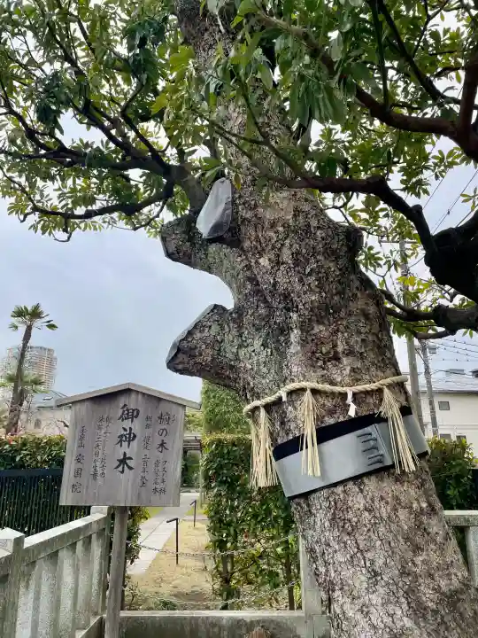 安国院の{uncategorized: "未分類", other: "その他", undefined: "問題あり", building: "その他建物", grave: "お墓", sacred_gate: "鳥居", guardian: "狛犬", statue: "像", buddha: "仏像", history: "歴史", nature: "自然", garden: "庭園", animal: "動物", pagoda: "塔", temizu: "手水舎", mountain_gate: "山門・神門", sanctuary: "本殿・本堂", subordinate: "末社・摂社", art: "芸術", scenery: "景色", jizo: "地蔵", ema: "絵馬", goshuin: "御朱印", omikuji: "おみくじ", items: "授与品その他", amulet: "お守り", goshuincho: "御朱印帳", eats: "食事", festival: "お祭り", votive_dance: "神楽", shichigosan: "七五三参", wedding: "結婚式", experience: "体験その他", initially: "初詣", around: "周辺", anti_infection: "感染症対策"}