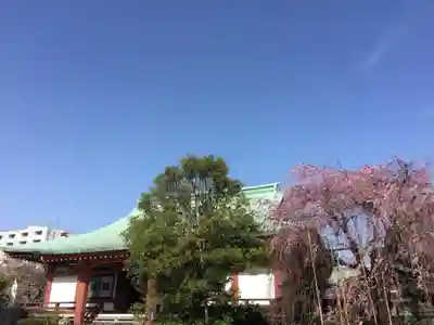 吉祥寺のその他建物