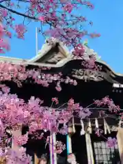 桜神宮の自然