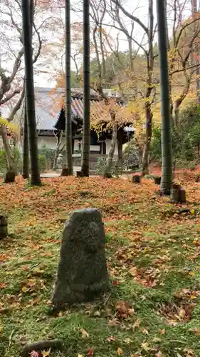 圓光寺(京都府)