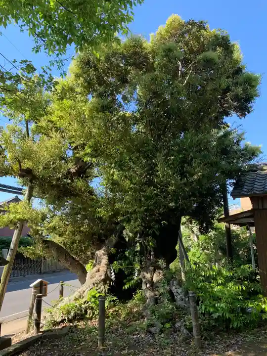 駒形神社(千葉県)