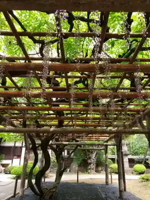 愛染院(東京都)