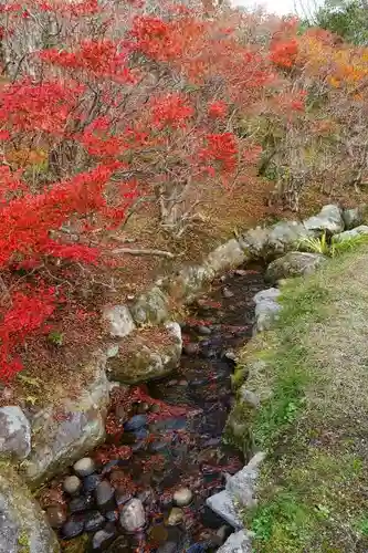 興福寺の庭園