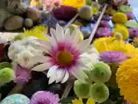 滑川神社 - 仕事と子どもの守り神の手水舎