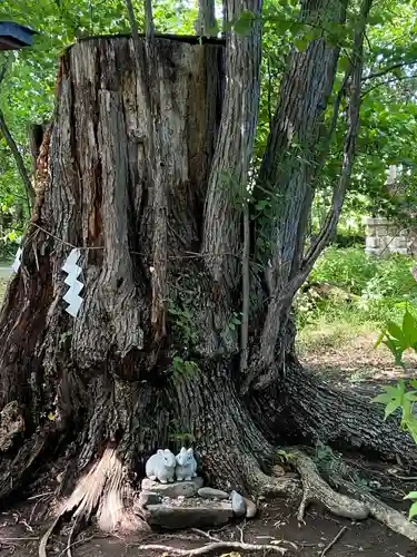 帯廣神社の自然