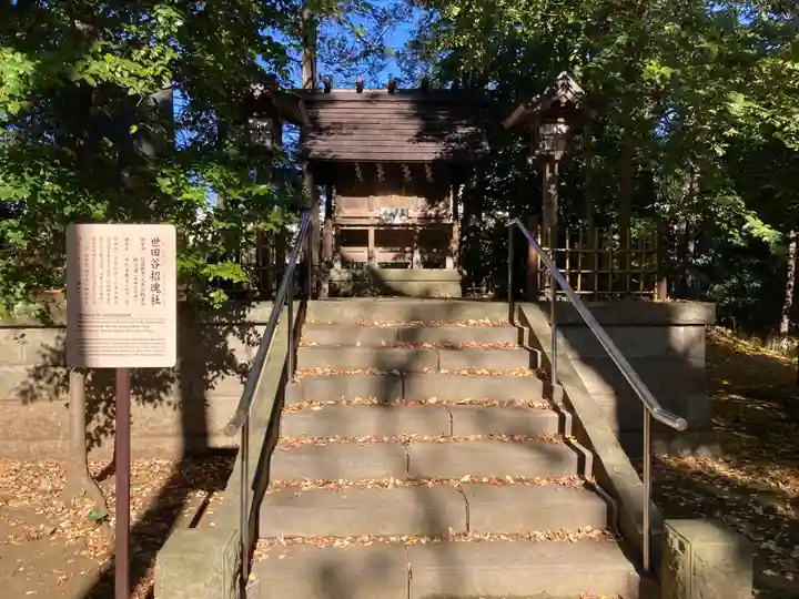 世田谷八幡宮(東京都)
