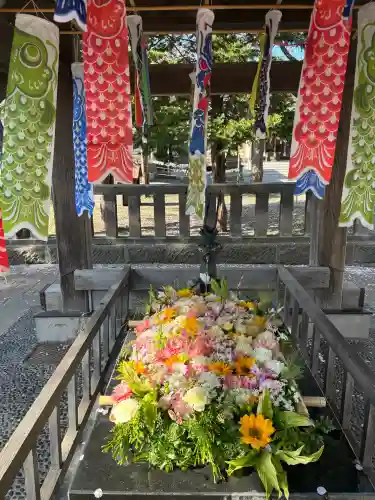 江南神社の{uncategorized: "未分類", other: "その他", undefined: "問題あり", building: "その他建物", grave: "お墓", sacred_gate: "鳥居", guardian: "狛犬", statue: "像", buddha: "仏像", history: "歴史", nature: "自然", garden: "庭園", animal: "動物", pagoda: "塔", temizu: "手水舎", mountain_gate: "山門・神門", sanctuary: "本殿・本堂", subordinate: "末社・摂社", art: "芸術", scenery: "景色", jizo: "地蔵", ema: "絵馬", goshuin: "御朱印", omikuji: "おみくじ", items: "授与品その他", amulet: "お守り", goshuincho: "御朱印帳", eats: "食事", festival: "お祭り", votive_dance: "神楽", shichigosan: "七五三参", wedding: "結婚式", experience: "体験その他", initially: "初詣", around: "周辺", anti_infection: "感染症対策"}