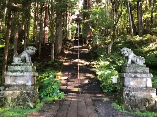 戸隠神社宝光社の狛犬