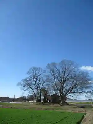 神明神社(千葉県)