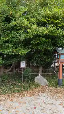 源九郎稲荷神社(奈良県)