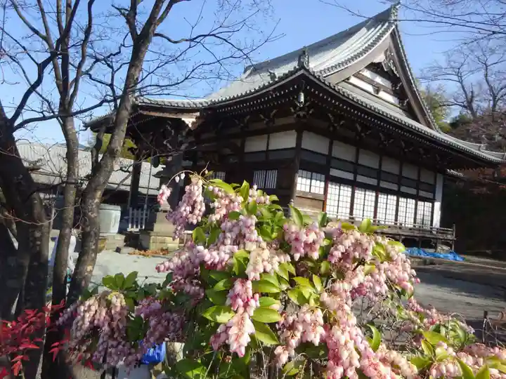 妙蓮寺の本殿・本堂