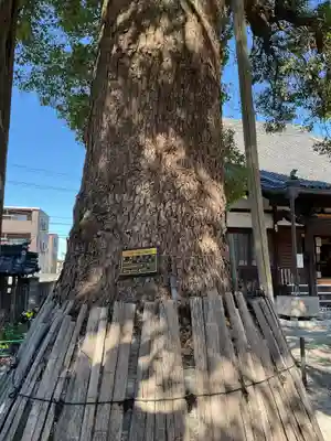 浄通院(愛知県)