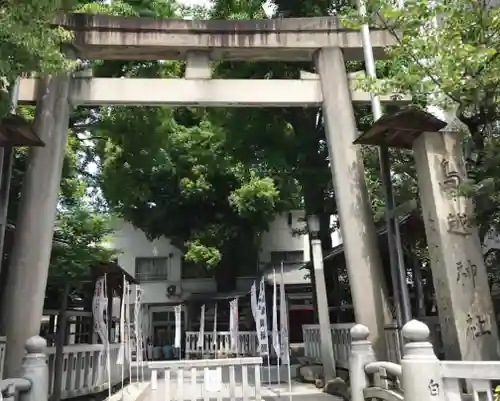 鳥越神社の鳥居