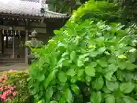 蛇苦止明神(蛇苦止堂)の庭園