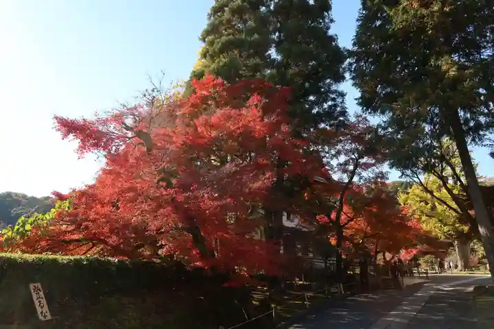 永保寺(岐阜県)