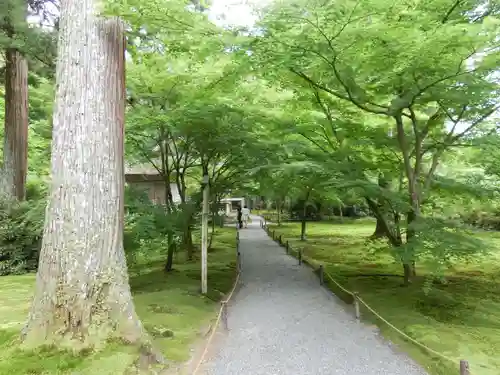 三千院門跡のその他建物