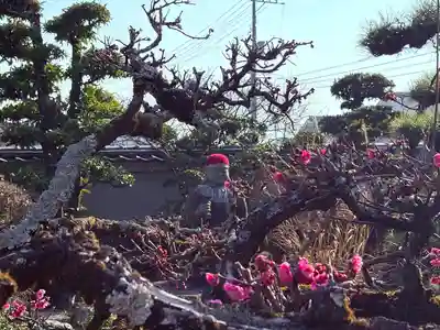 西林寺(愛媛県)