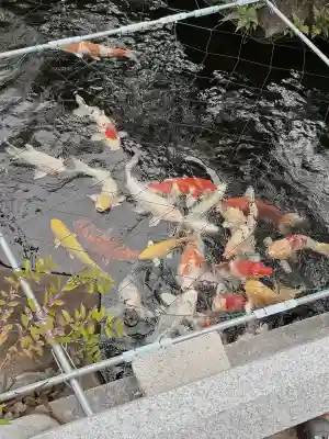 興徳寺(大阪府)