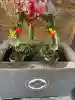 仙台大神宮(宮城県)