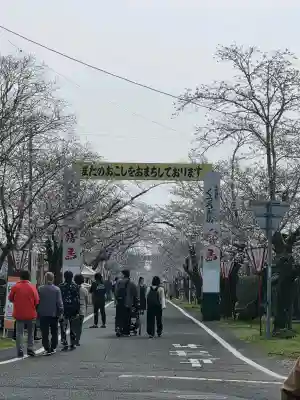 母智丘神社の{uncategorized: "未分類", other: "その他", undefined: "問題あり", building: "その他建物", grave: "お墓", sacred_gate: "鳥居", guardian: "狛犬", statue: "像", buddha: "仏像", history: "歴史", nature: "自然", garden: "庭園", animal: "動物", pagoda: "塔", temizu: "手水舎", mountain_gate: "山門・神門", sanctuary: "本殿・本堂", subordinate: "末社・摂社", art: "芸術", scenery: "景色", jizo: "地蔵", ema: "絵馬", goshuin: "御朱印", omikuji: "おみくじ", items: "授与品その他", amulet: "お守り", goshuincho: "御朱印帳", eats: "食事", festival: "お祭り", votive_dance: "神楽", shichigosan: "七五三参", wedding: "結婚式", experience: "体験その他", initially: "初詣", around: "周辺", anti_infection: "感染症対策"}