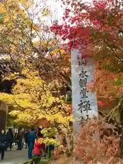 禅林寺（永観堂）(京都府)