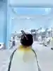 よろくん