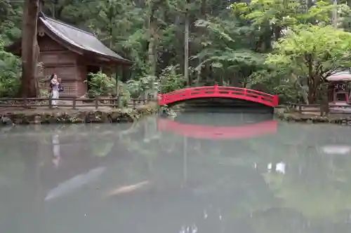 小國神社の庭園