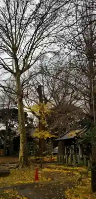 諏方神社のその他建物