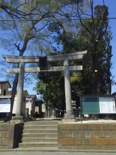 東越谷香取神社の鳥居