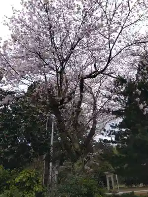八幡神社(福井県)