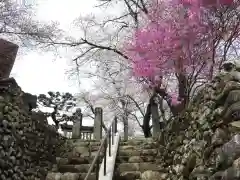 長念寺(埼玉県)