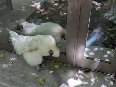 熱田神宮(愛知県)