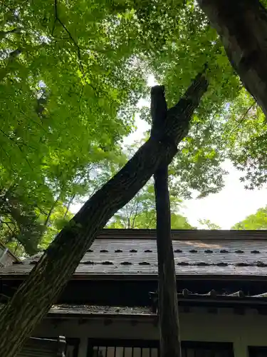 新屋山神社(山梨県)