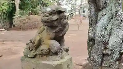 白幡神社の狛犬