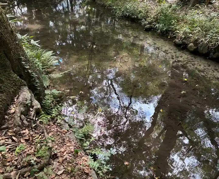 河合神社(鴨川合坐小社宅神社)の庭園