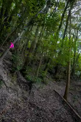 二井寺山極楽寺の周辺