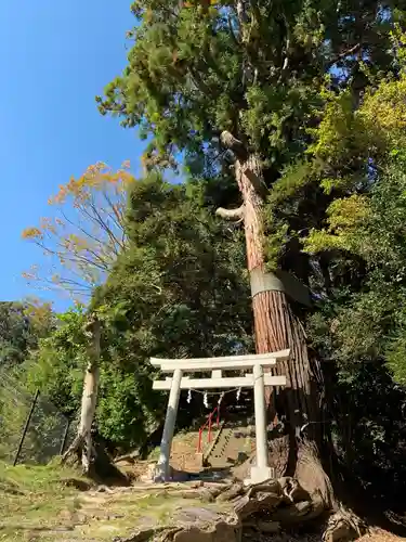 十二所神社の鳥居