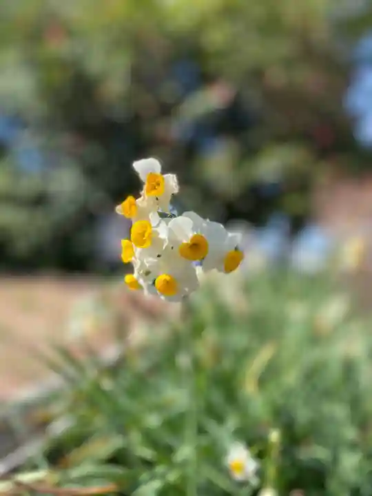 比佐豆知神社の自然