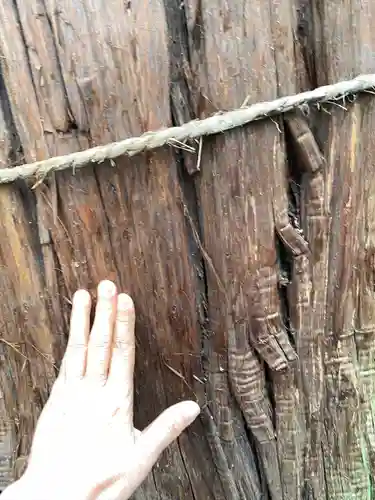 大神神社(栃木県)