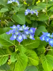 四倉諏訪神社の自然