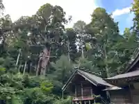 大宮温泉神社の本殿・本堂