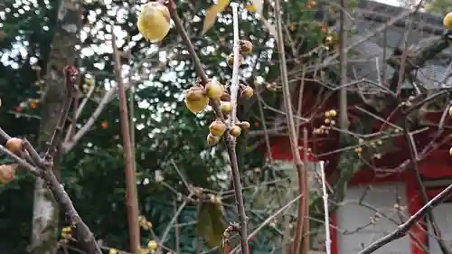 北野天満宮(京都府)