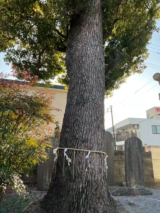 菖蒲神社の自然