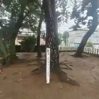 天疫神社の自然