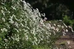 阿久津「田村神社」（郡山市阿久津町）旧社名：伊豆箱根三嶋三社の庭園