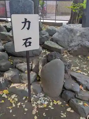 鳩ヶ谷氷川神社(埼玉県)