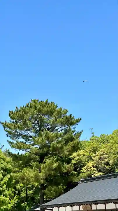 橿原神宮(奈良県)