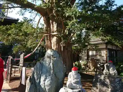 済広寺のその他建物