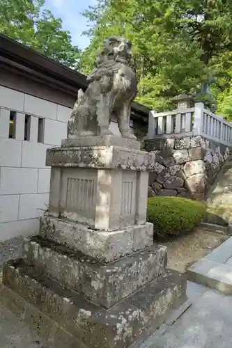 櫻山八幡宮の狛犬