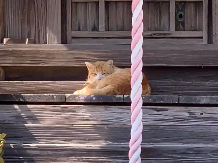八坂神社の動物